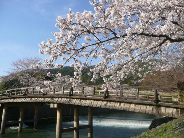 Hotel Arrows Arashiyama Kyoto Dış mekan fotoğraf