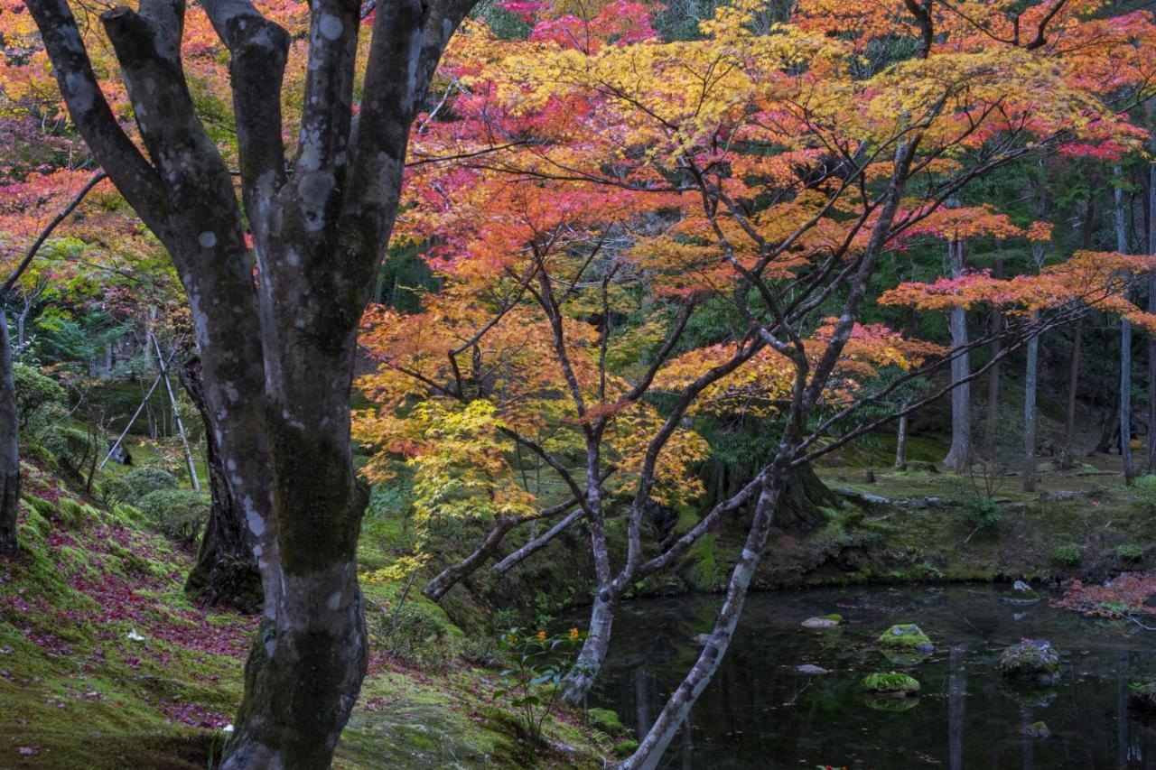 Hotel Arrows Arashiyama Kyoto Dış mekan fotoğraf