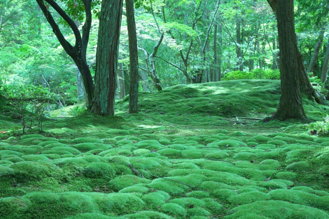 Hotel Arrows Arashiyama Kyoto Dış mekan fotoğraf